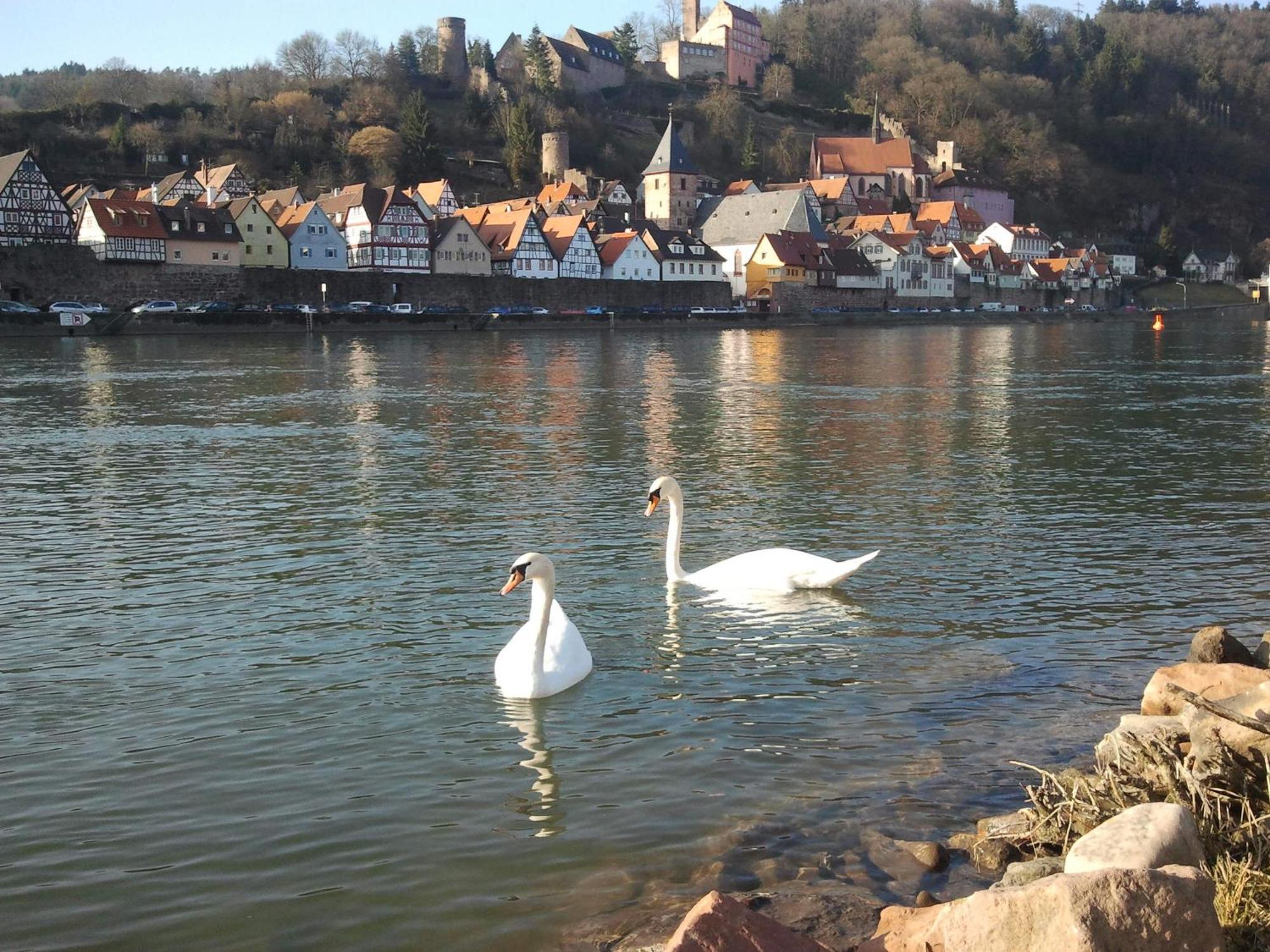 Romantisches Hirschhorn Am Neckar Екстер'єр фото
