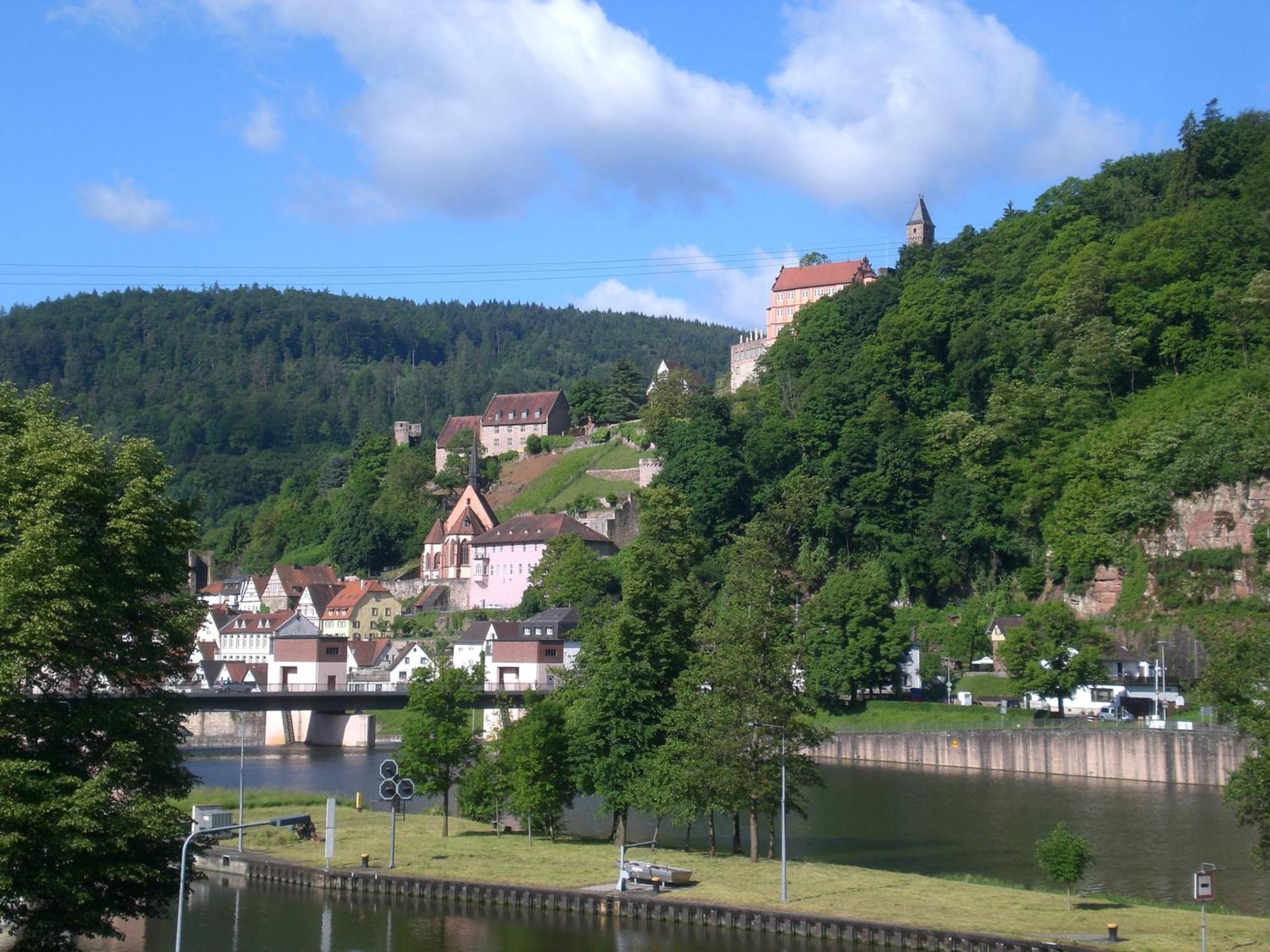 Romantisches Hirschhorn Am Neckar Екстер'єр фото