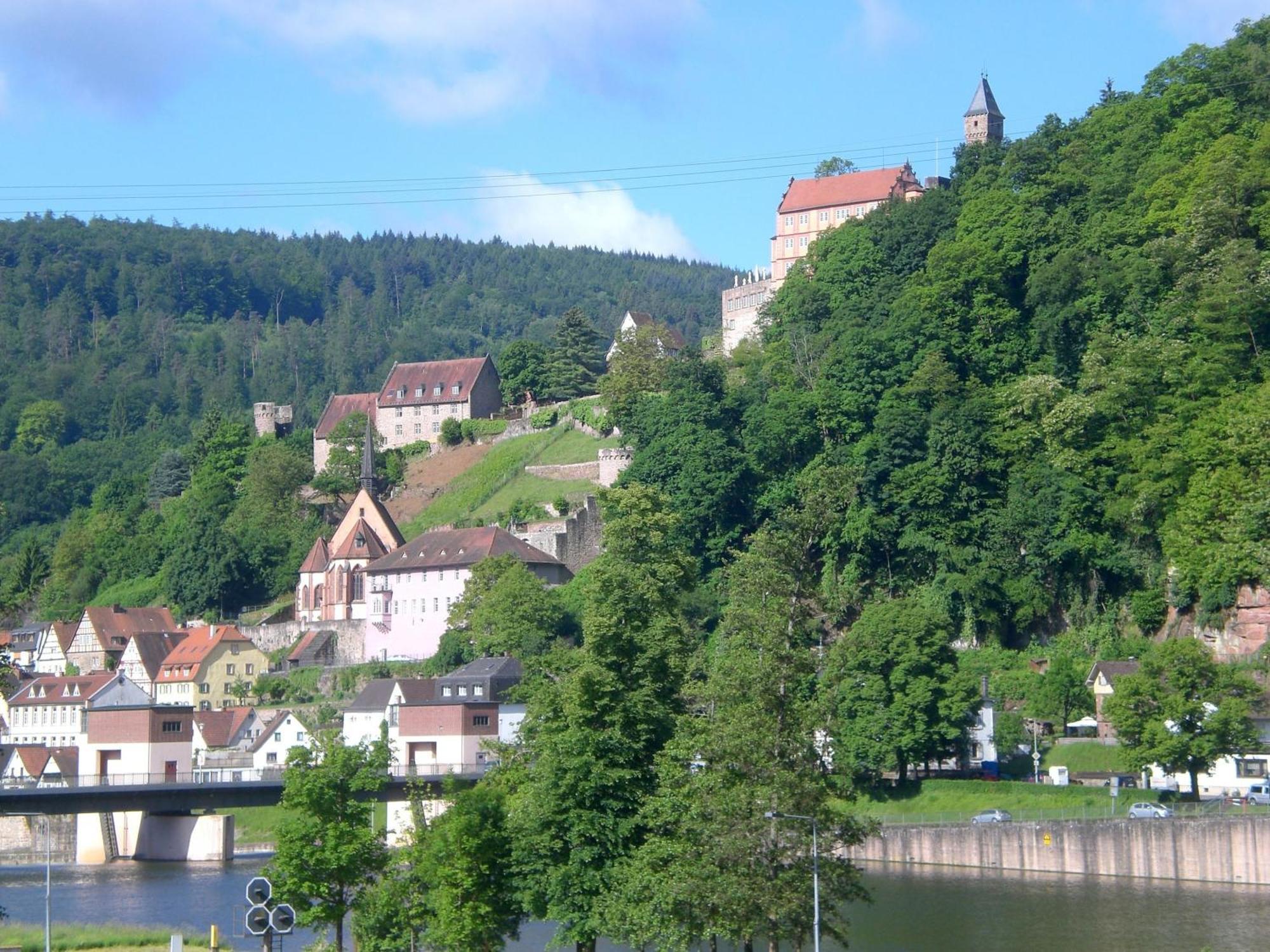 Romantisches Hirschhorn Am Neckar Екстер'єр фото