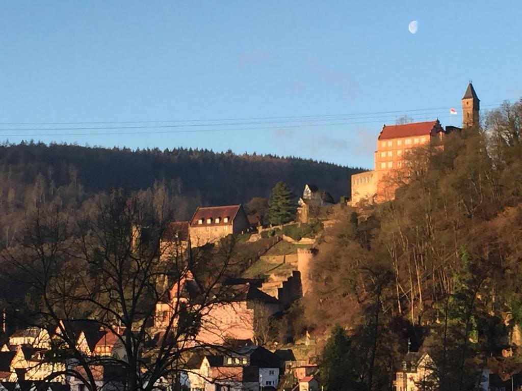 Romantisches Hirschhorn Am Neckar Екстер'єр фото