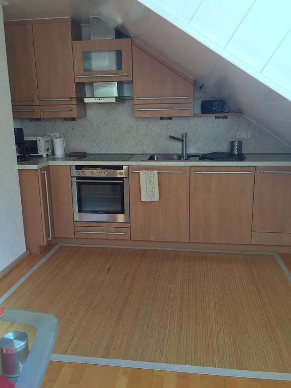 Romantisches Hirschhorn Am Neckar Екстер'єр фото