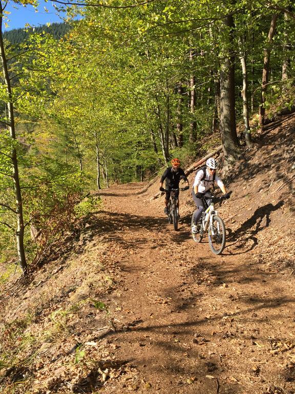 Romantisches Hirschhorn Am Neckar Екстер'єр фото