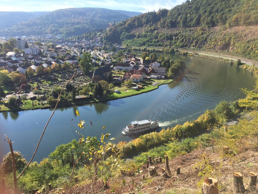 Romantisches Hirschhorn Am Neckar Екстер'єр фото